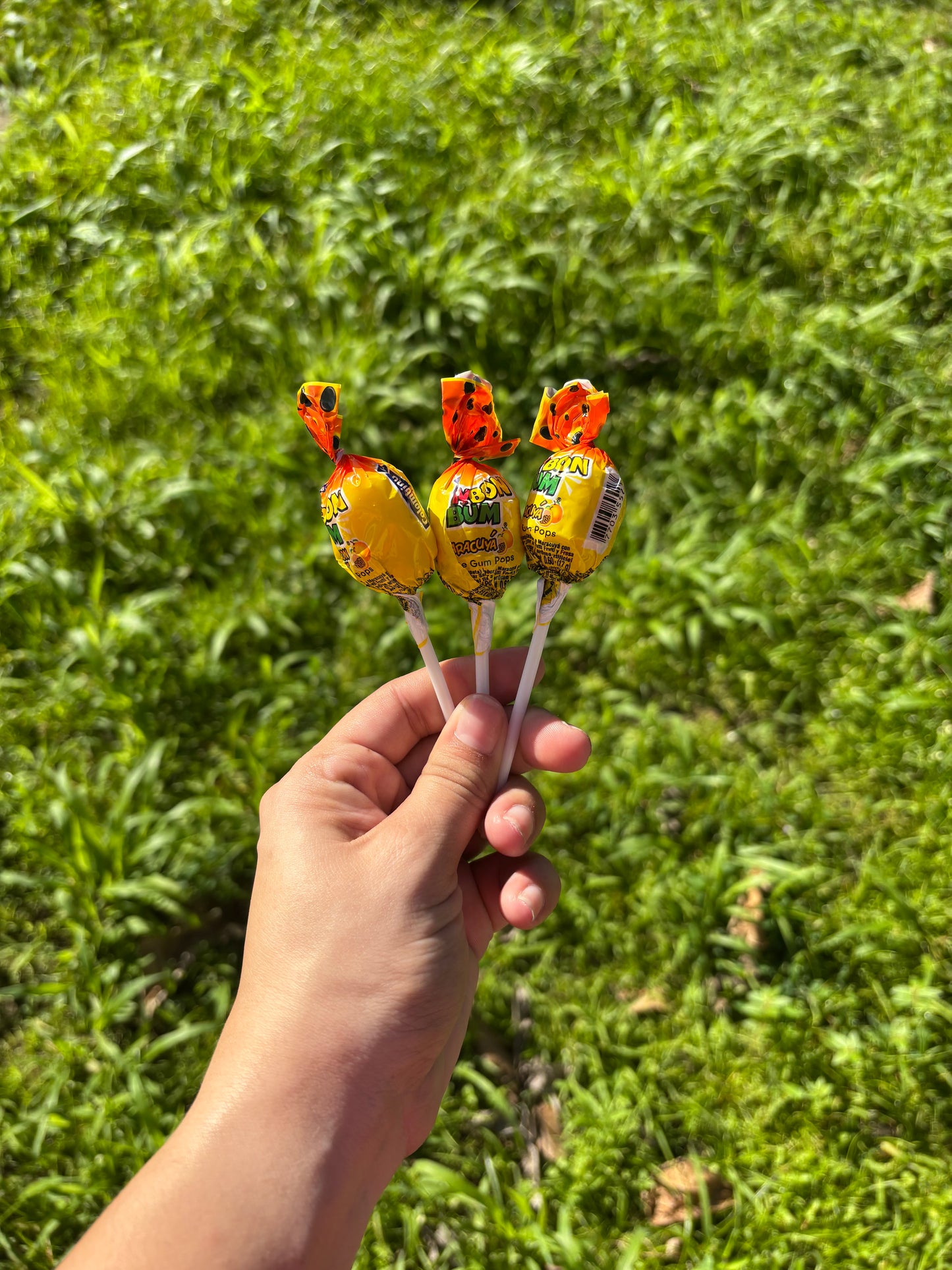 Paletas de parcha