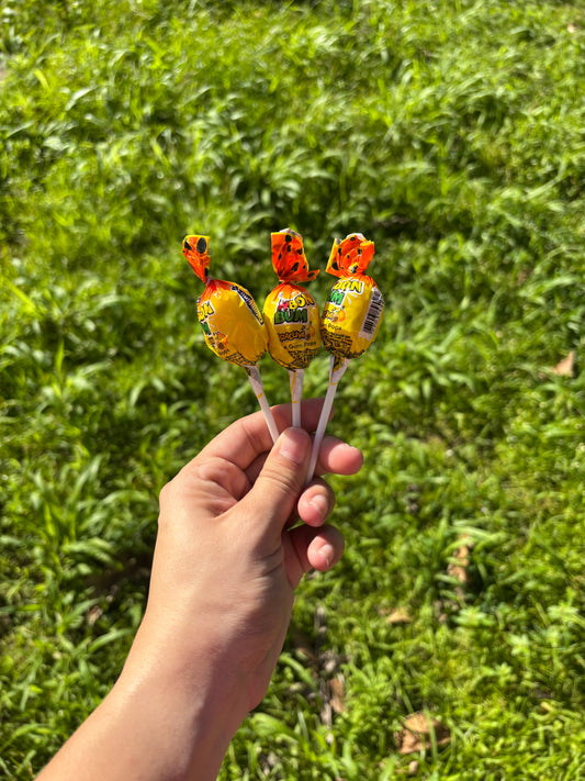 Paletas de parcha